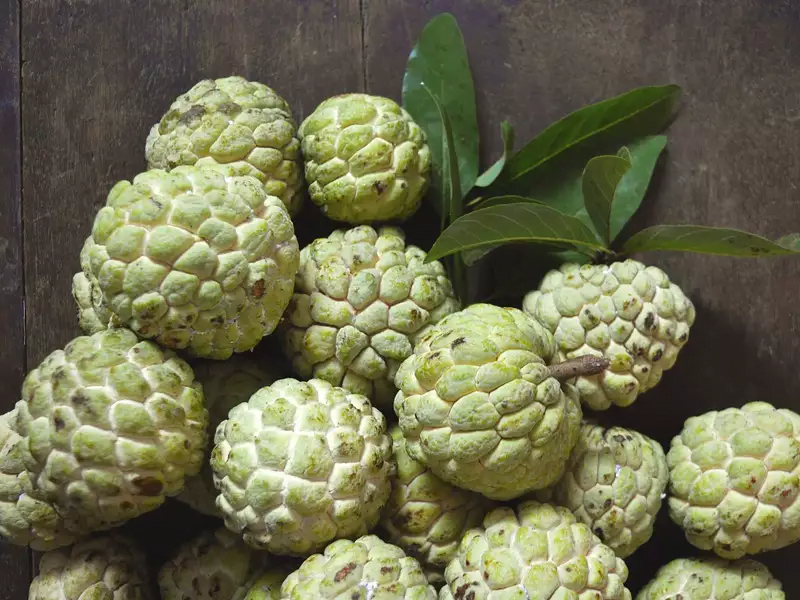 The Top 5 Health Benefits Of Custard Apple For Men