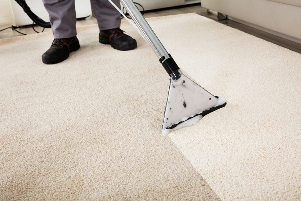 Why Mortdale Homebuyers Prioritize Clean Carpets?