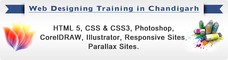 What are the basics of web design?