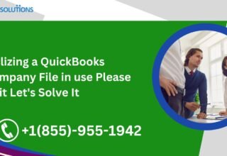 QuickBooks-Company-File-in-use-Please-wait-Lets-Solve-It.jpg